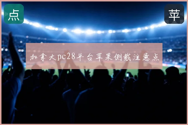 加拿大pc28平台苹果侧载注意点