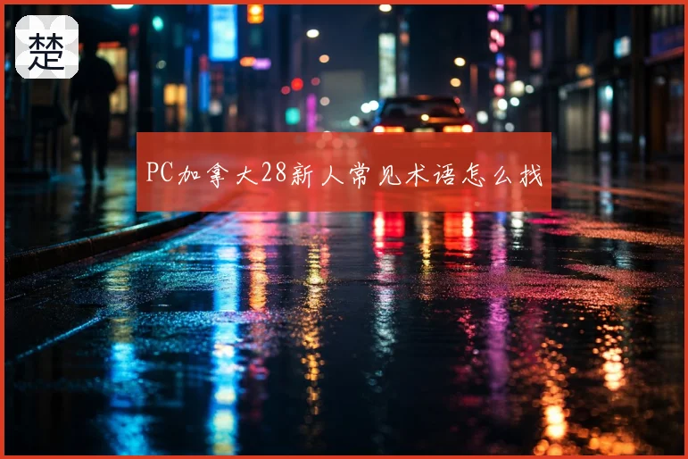 PC加拿大28新人常见术语怎么找