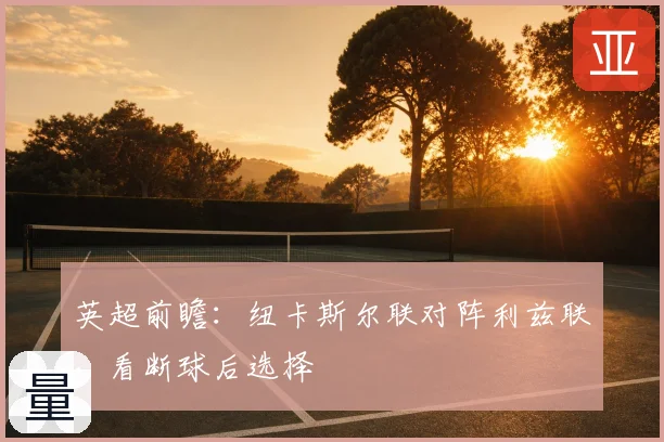 英超前瞻：纽卡斯尔联对阵利兹联，看断球后选择